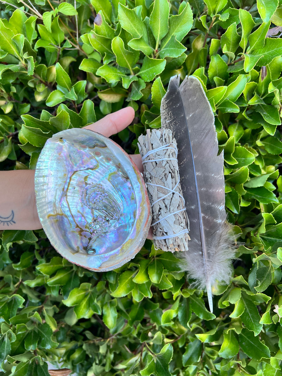 Sage Cleansing Ritual Kit with Abalone Shell & Feather