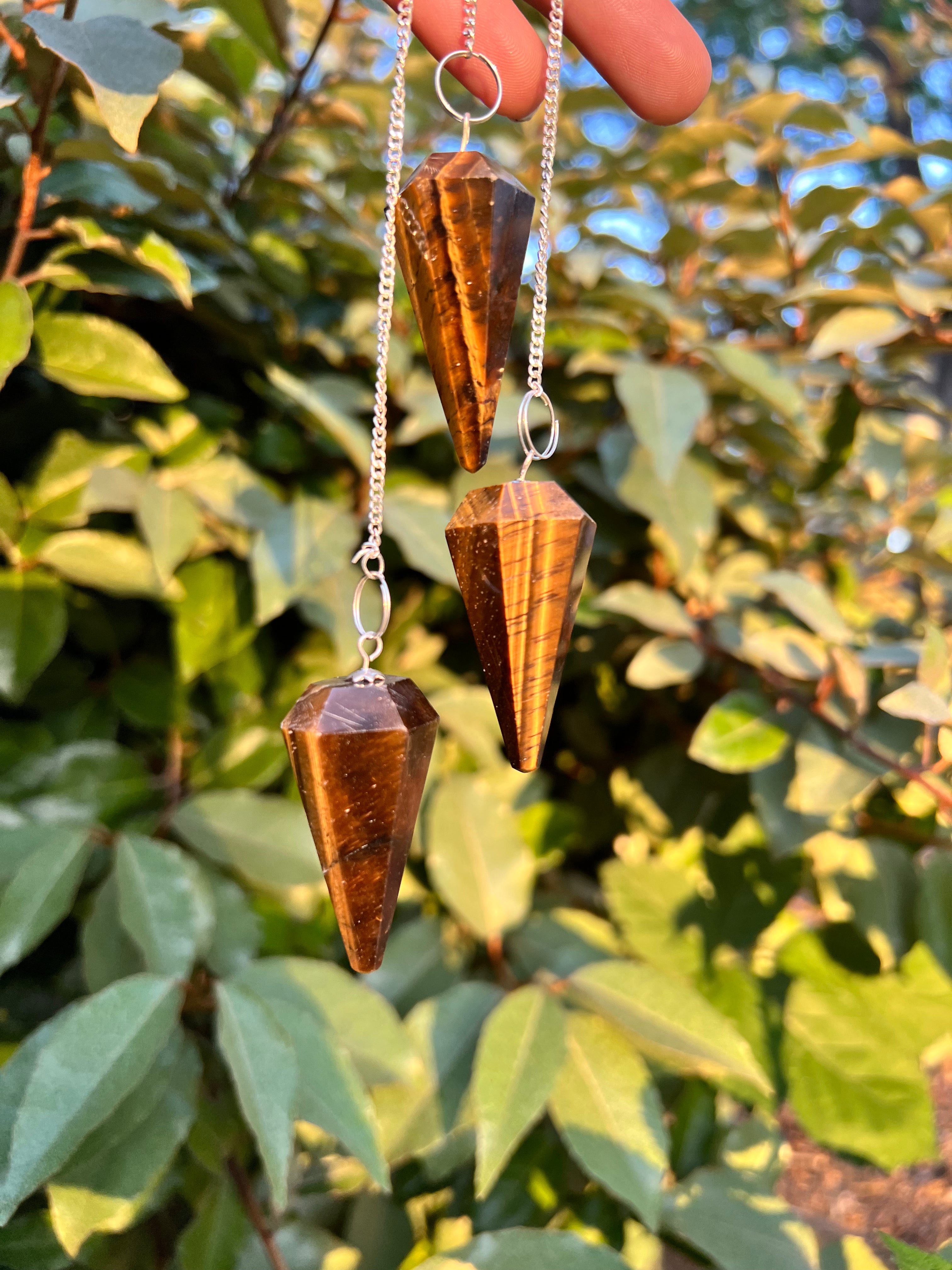 Tigers eye Pendulum