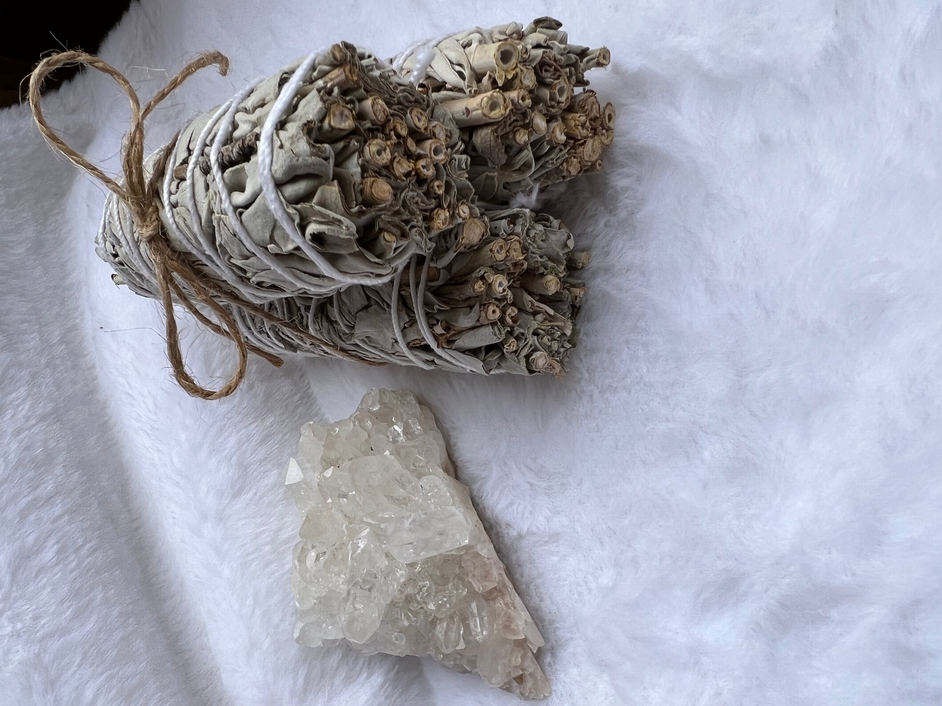 CALIFORNIA WHITE SAGE