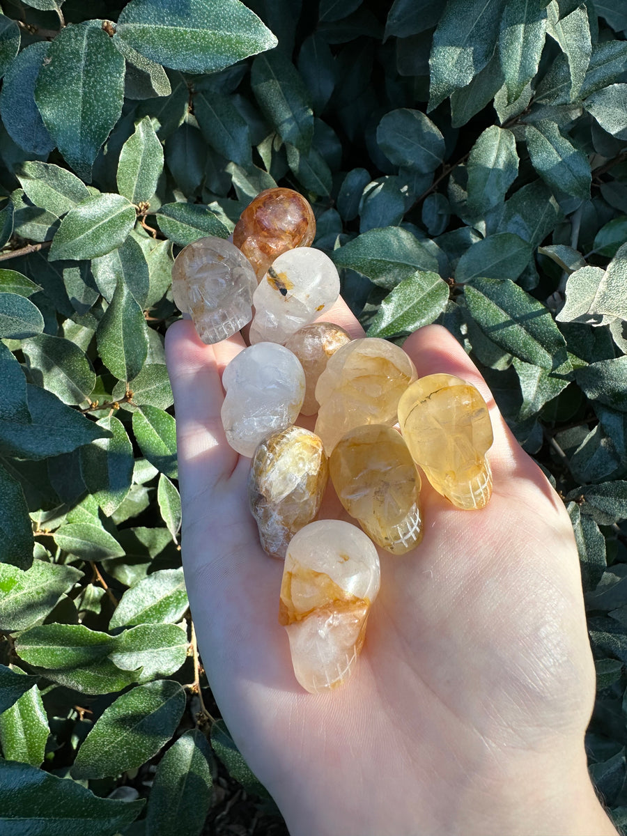 Golden Healer Skull