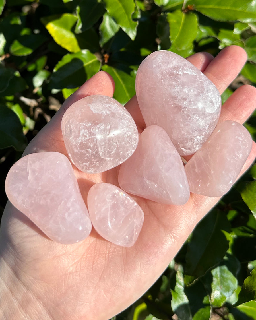 Medium Rose Quartz Tumbled Stone