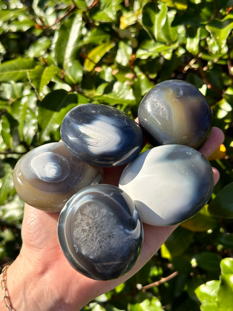 Orca Agate Palm Stone