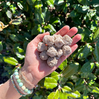 desert rose florets 