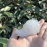 CLEAR QUARTZ DRAGON SKULL