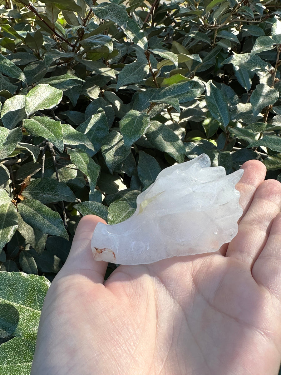 Clear Quartz Dragon Skull