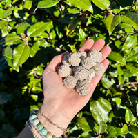 DESERT ROSE SELENITE minis
