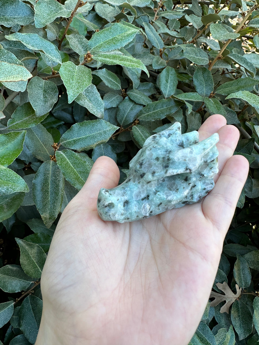 Kiwi Jasper Dragon Skull