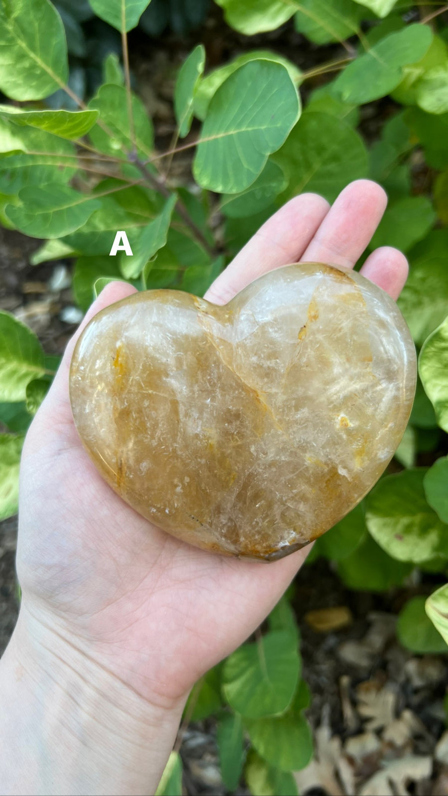 Golden Healer Heart