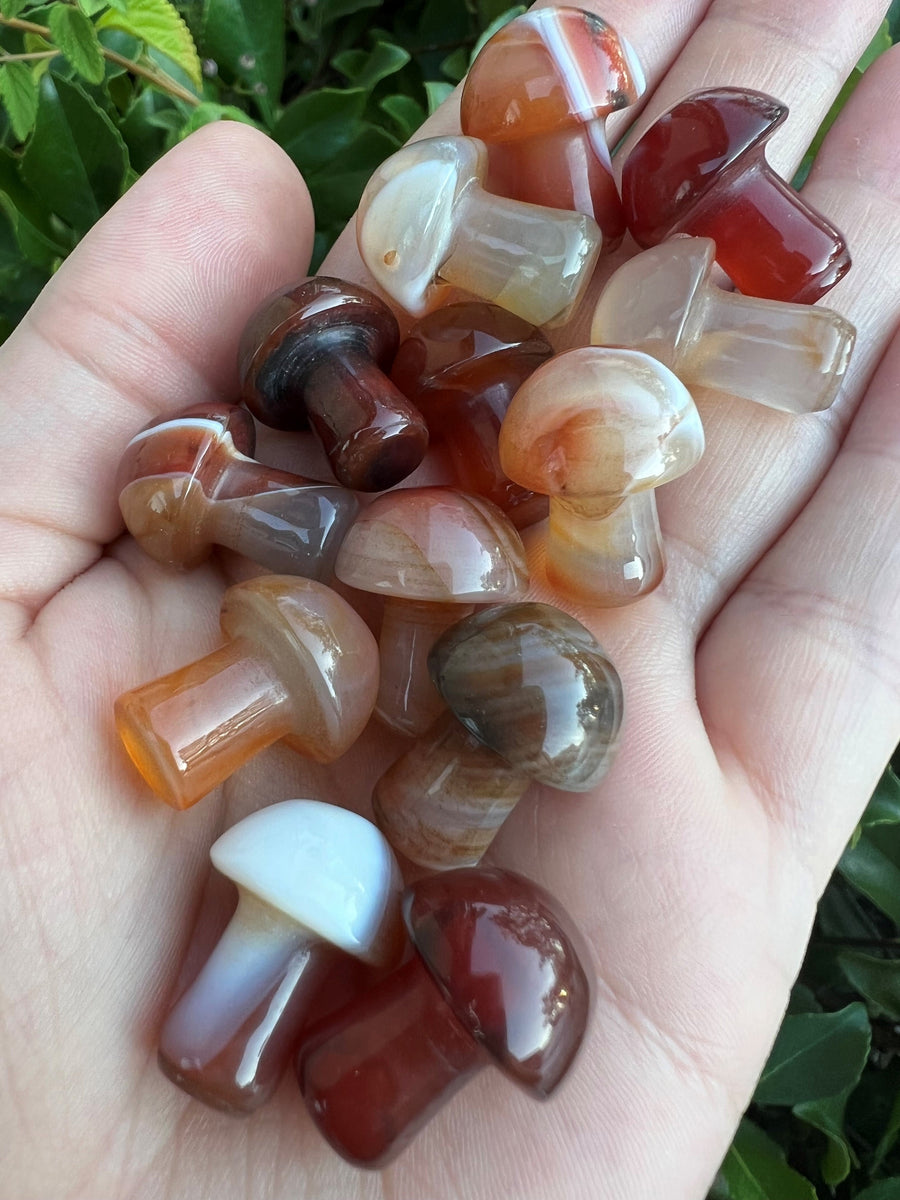 Carnelian Mini Mushroom