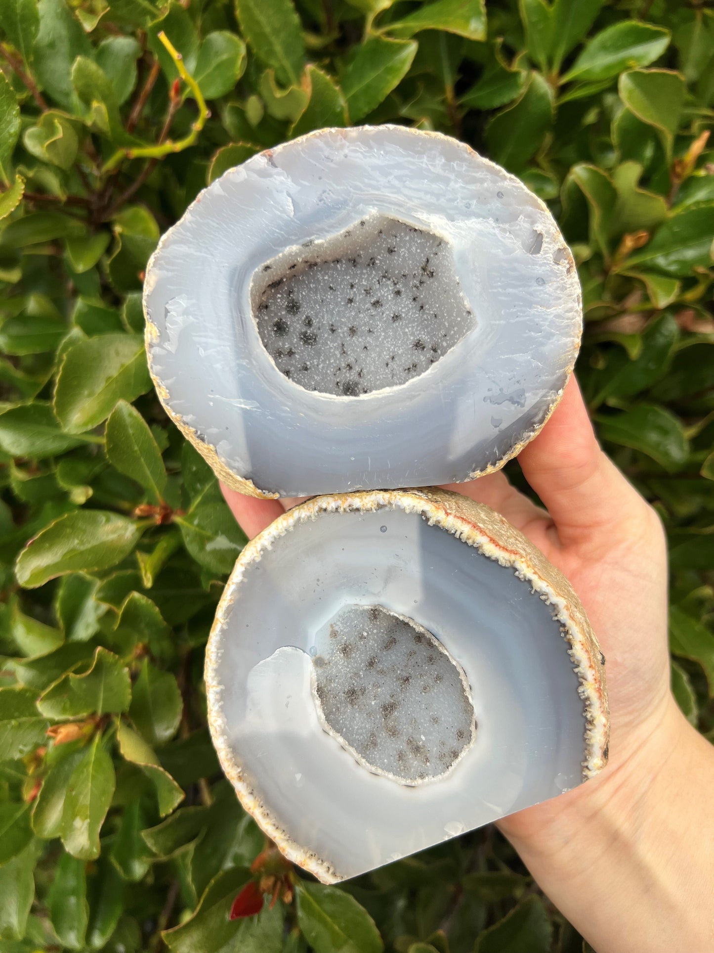 Agate Druzy