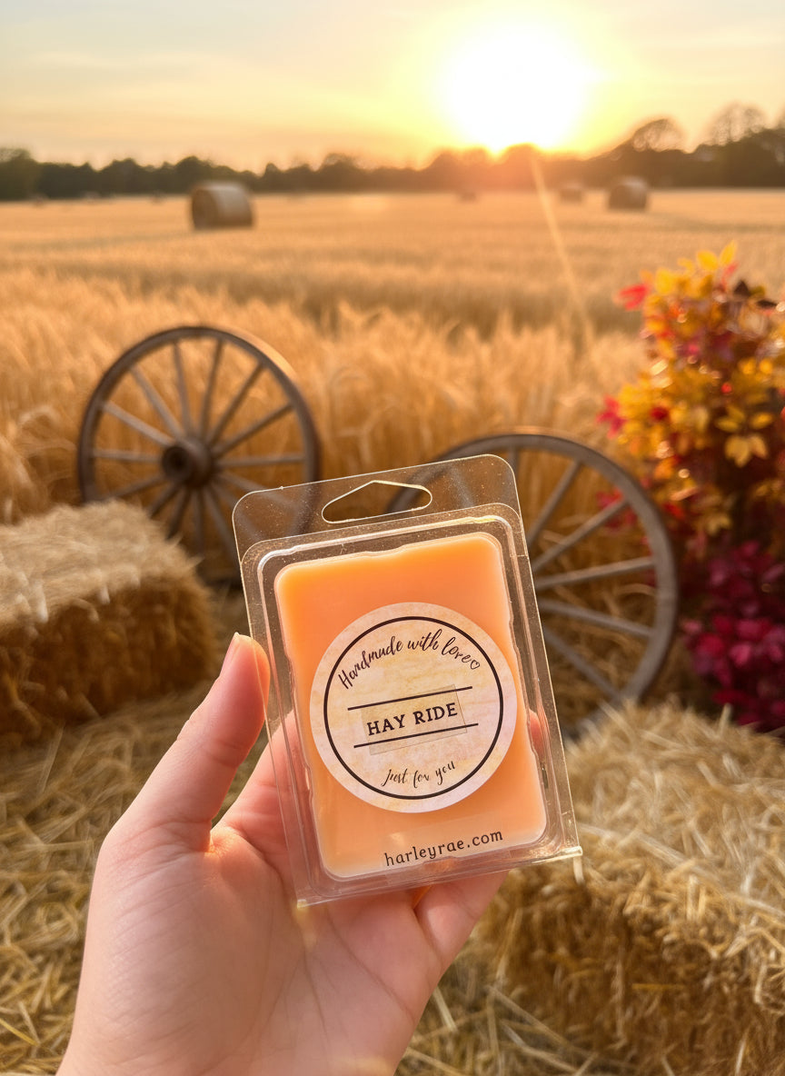 HAYRIDE soy wax melts, with a wax warmer and pine cones in the background, suggesting a cozy home setting.