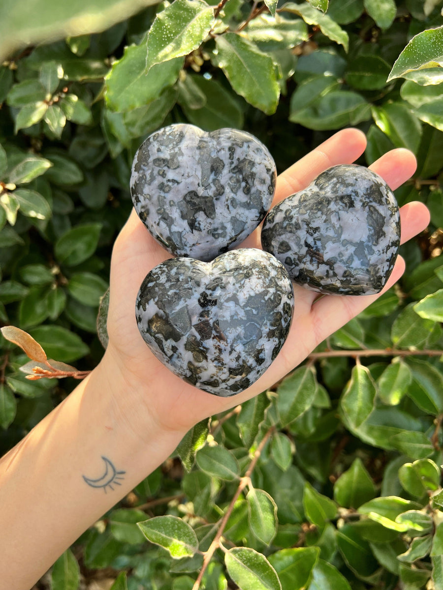 Indigo Gabbro Heart Palm Stone