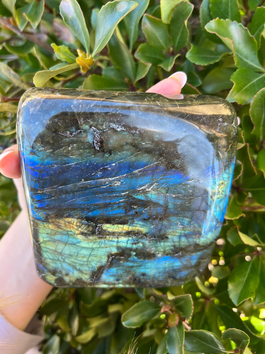 Labradorite High Quality Free Form