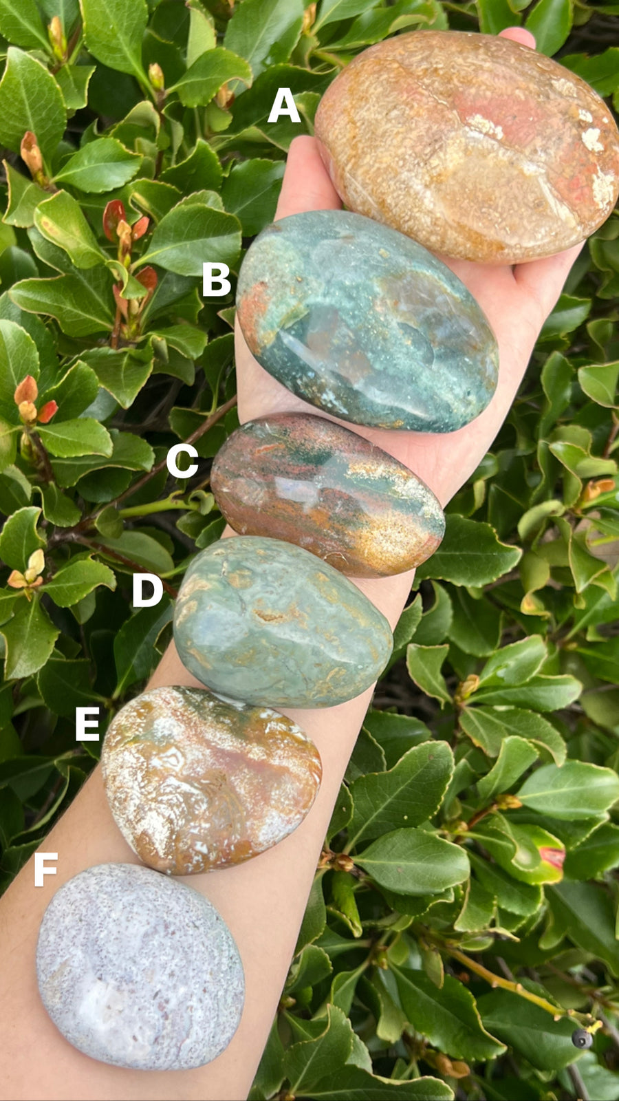 Ocean Jasper Palm Stone